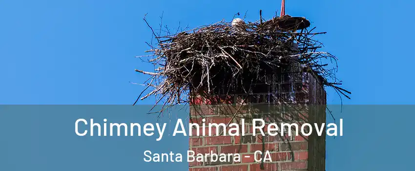 Chimney Animal Removal Santa Barbara - CA