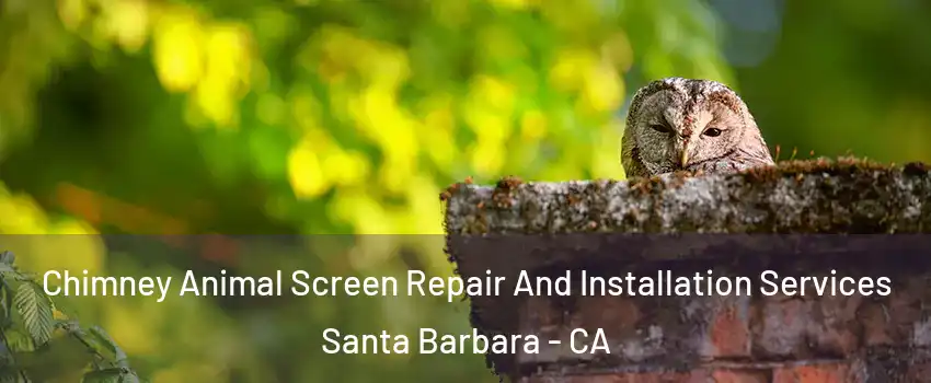  Chimney Animal Screen Repair And Installation Services Santa Barbara - CA