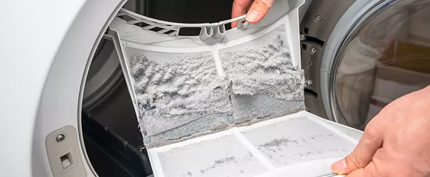 Best Dryer Lint Removal Company in Santa Barbara, California