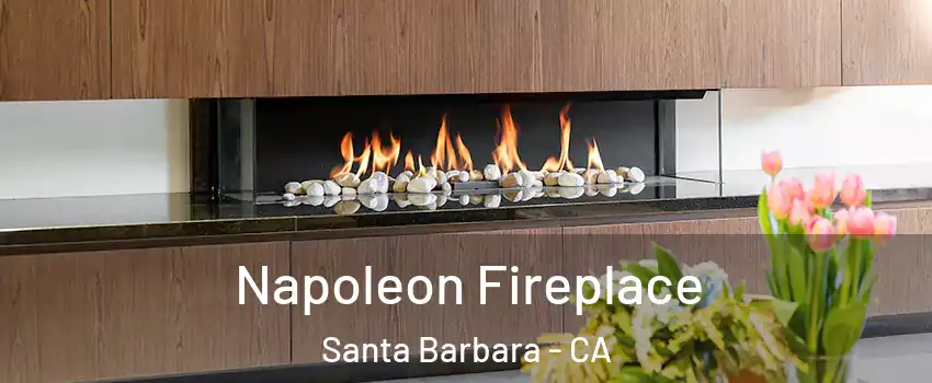  Napoleon Fireplace Santa Barbara - CA